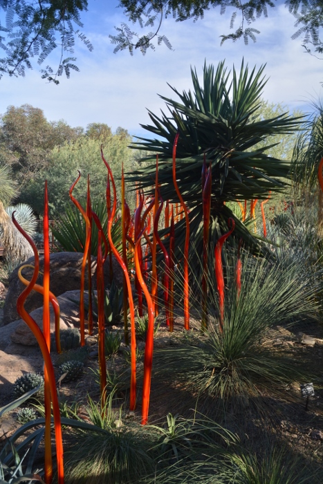 Cattails